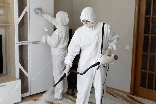Best Office Mold Removal Services  in Driggs, ID