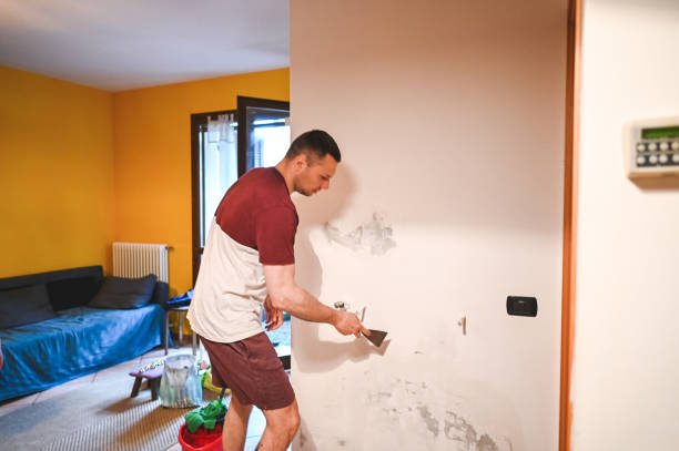 Best Mold Removal Company Near Me  in Driggs, ID
