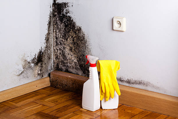 Crawl Space Mold Removal in Driggs, ID